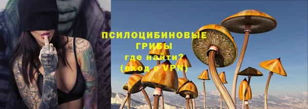 шишки Богородск