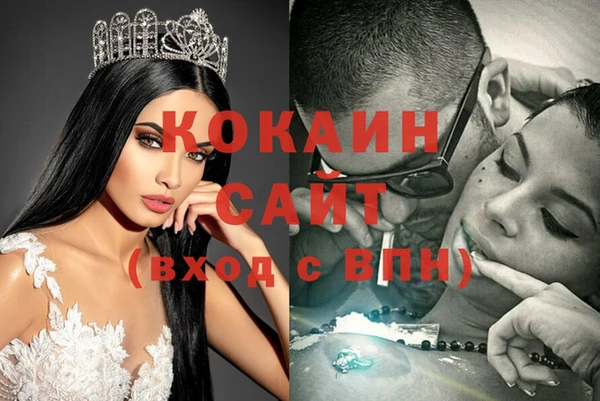 jwh Пересвет