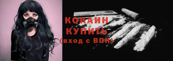 шишки Богородск