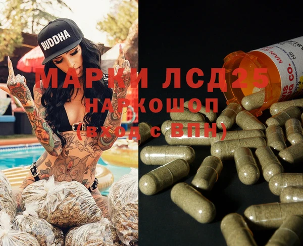 гашиш Богданович