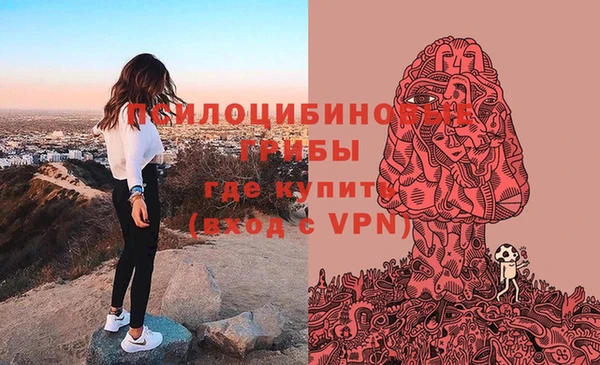 винт Бронницы
