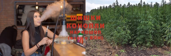винт Бронницы