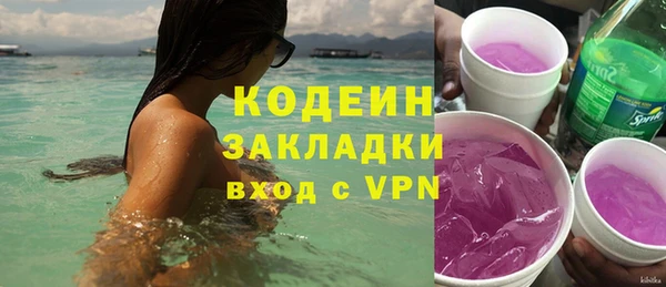 шишки Богородск